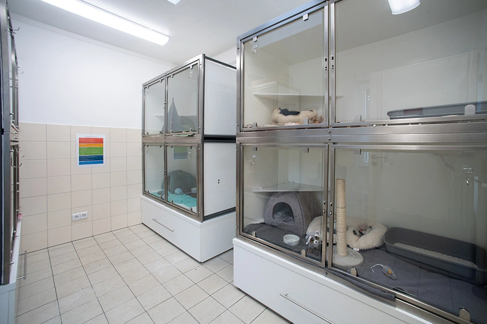 Projekt Tierheim LechArche Friedberg