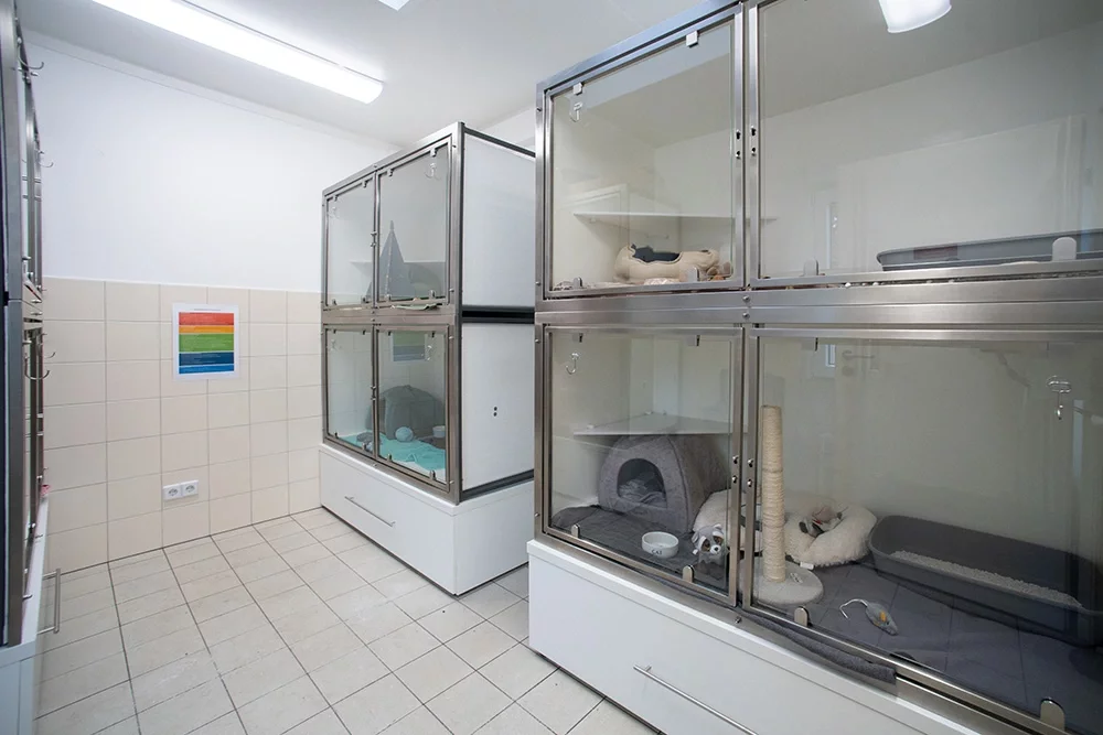 Projekt Tierheim LechArche Friedberg